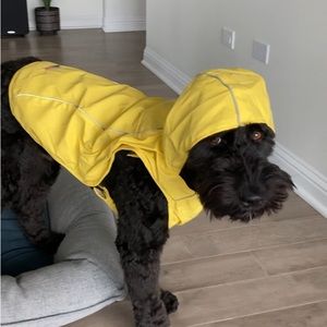 Doggy raincoat with hood NWOT